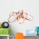 Pink Ballet Shoes Wall Decal