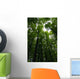 Tree crowns Wall Mural