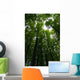 Tree crowns Wall Mural
