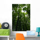 Tree crowns Wall Mural
