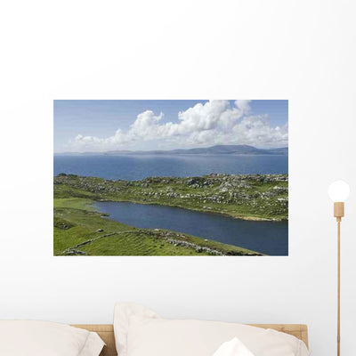 From Sheeps Head Wall Decal shown on a wall