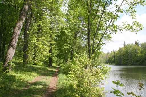 Landscape with Pathway along Wall Decal