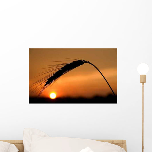 Sunset Wall Decal Design 5