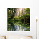 Morning Forest