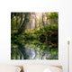 Morning Forest