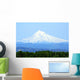 Mt Hood Oregon Wall Mural