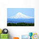 Mt Hood Oregon Wall Mural