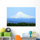 Mt Hood Oregon Wall Mural