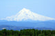 Mt Hood Oregon Wall Mural