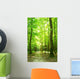 forest path Wall Mural