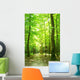 forest path Wall Mural