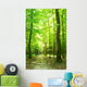 forest path Wall Mural