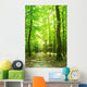 forest path Wall Mural