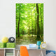 forest path Wall Mural