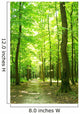 forest path Wall Mural