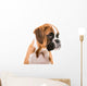 German boxer puppy Wall Decal