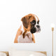 German boxer puppy Wall Decal