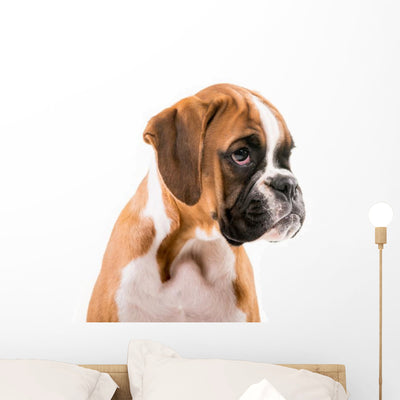 German Boxer Puppy Wall Decal shown on a wall