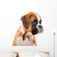 German boxer puppy Wall Decal