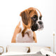 German boxer puppy Wall Decal