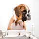 German boxer puppy Wall Decal
