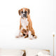 German boxer puppy Wall Decal