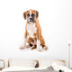 German boxer puppy Wall Decal
