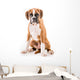 German boxer puppy Wall Decal