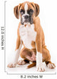 German boxer puppy Wall Decal