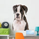 German boxer puppy Wall Decal