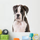 German boxer puppy Wall Decal