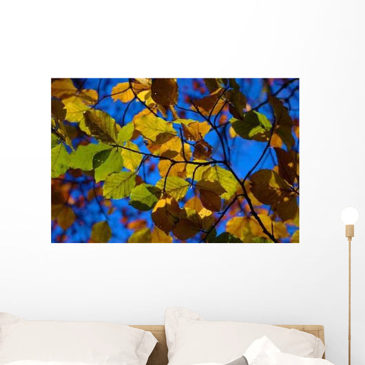 Autumn Leaves Wall Decal Design 2