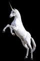 Rearing Unicorn Wall Decal