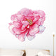 watercolor,flower,postcard,peony, Wall Decal