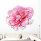 watercolor,flower,postcard,peony, Wall Decal