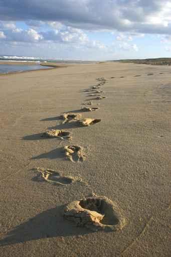 Footprints Sand Wall Decal Design 4