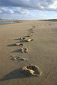 Footprints Sand Wall Decal Design 4