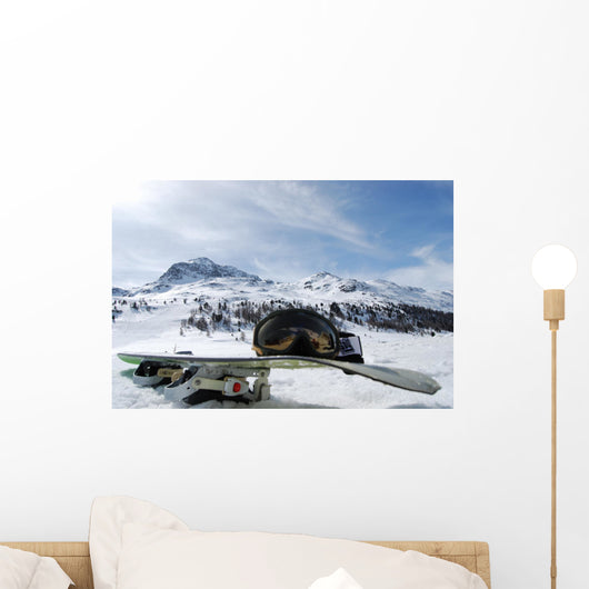 Snowboard Wall Mural