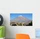 Arequipa Vulcan Wall Decal