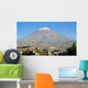 Arequipa Vulcan Wall Decal