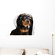 puppy in sailor hat Wall Decal