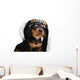 puppy in sailor hat Wall Decal