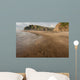 Karekare beach at low tide Wall Mural