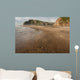 Karekare beach at low tide Wall Mural