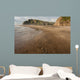 Karekare beach at low tide Wall Mural