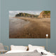 Karekare beach at low tide Wall Mural
