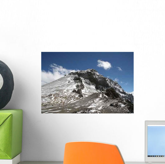 Ameghino Wall Decal