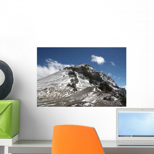 Ameghino Wall Decal
