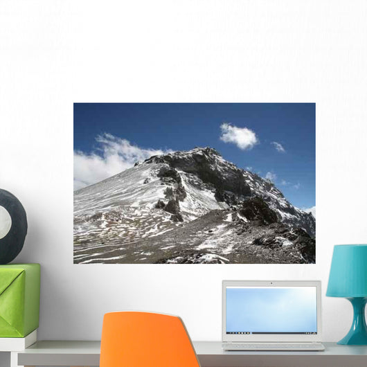 Ameghino Wall Decal