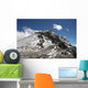 Ameghino Wall Decal